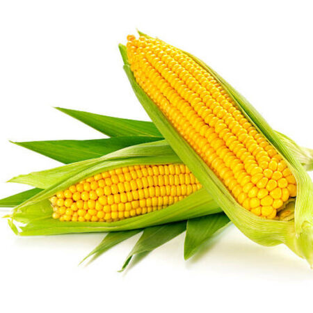 Corn/Bhutta