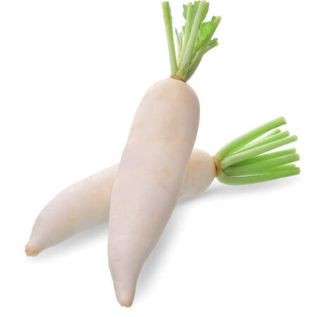 White Radish/Mooli