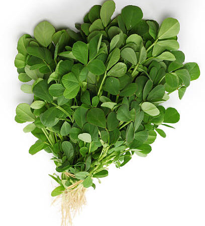 Fenugreek/Meethi
