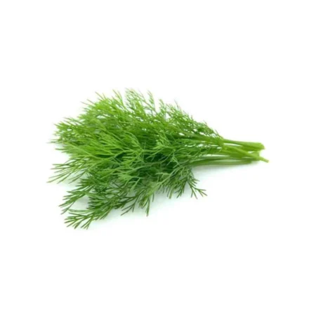 Soya/Dill
