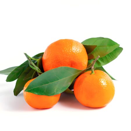 Orange/Keenu – Midum